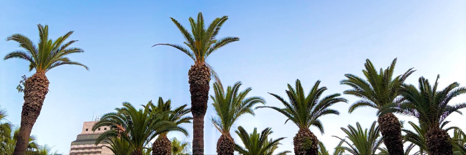 sinatranineli's profile banner image