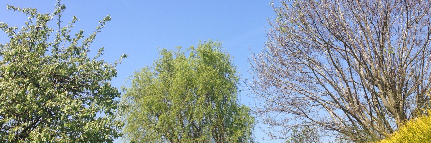 Gemma Gardner banner