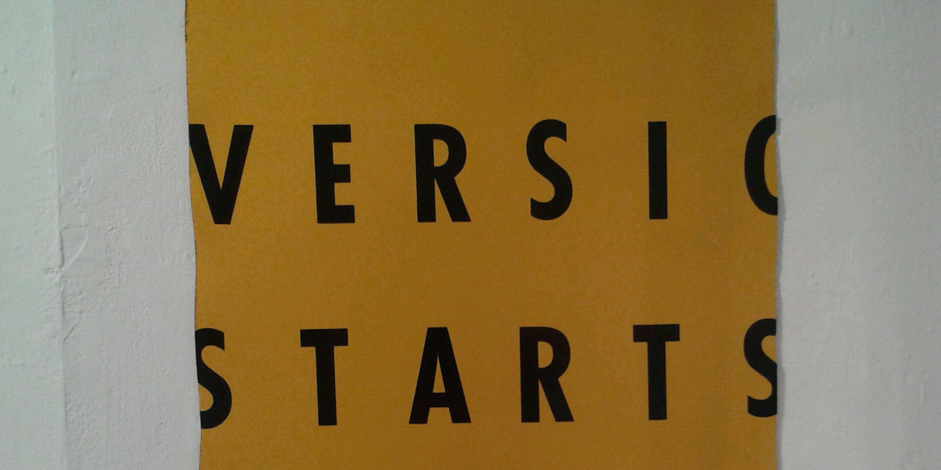 Veronica Valli banner