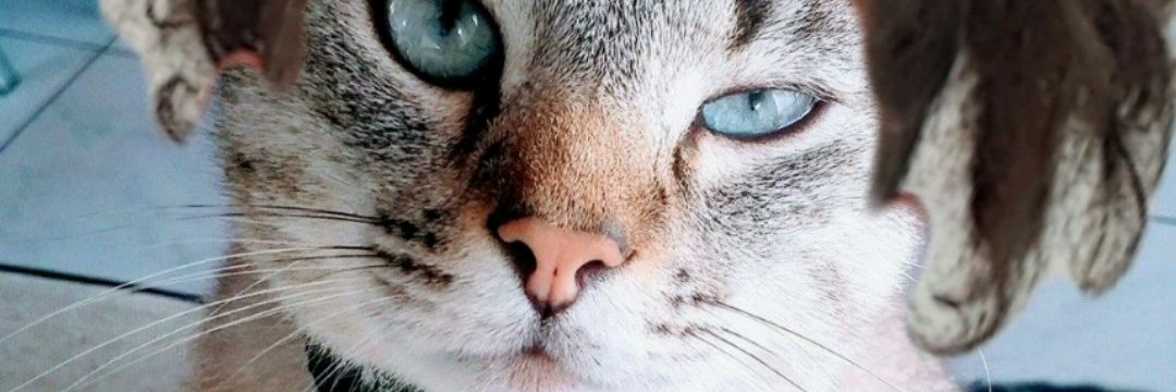 AThbert's profile banner image