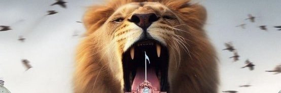 paula_coronel's profile banner image