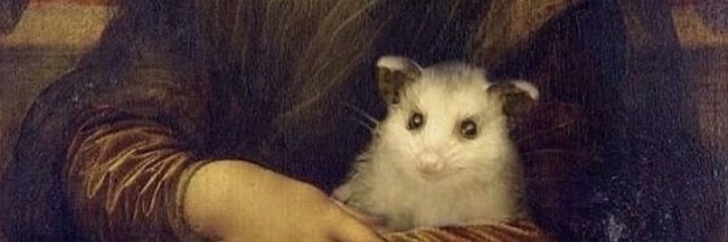 salamanionda's profile banner image