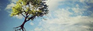 hivahrf's profile banner image