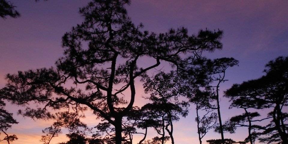 lak_co's profile banner image