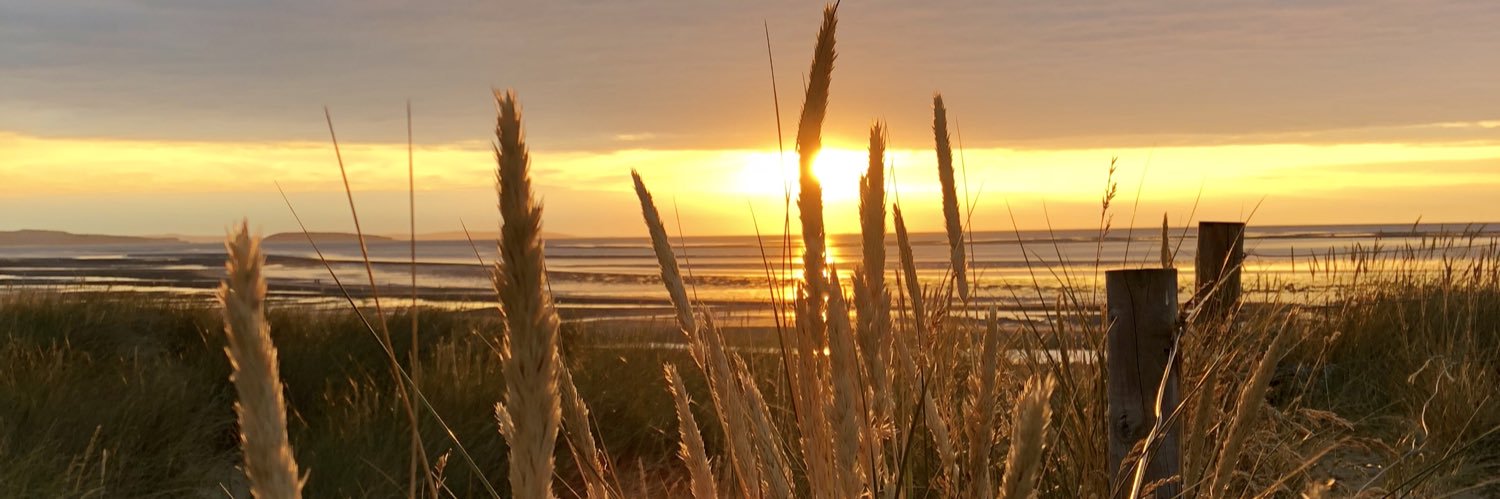 Michele Williams QPM banner