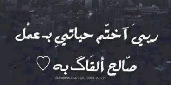 HebaShaaban7's profile banner image