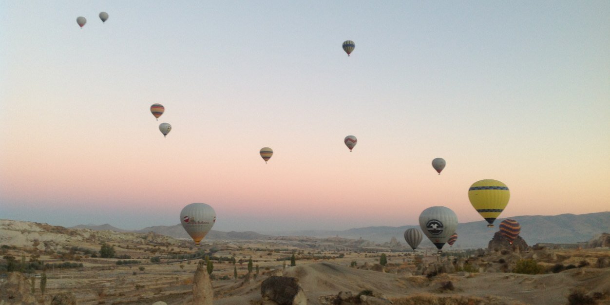 Link Lin | Citizen #1557 banner