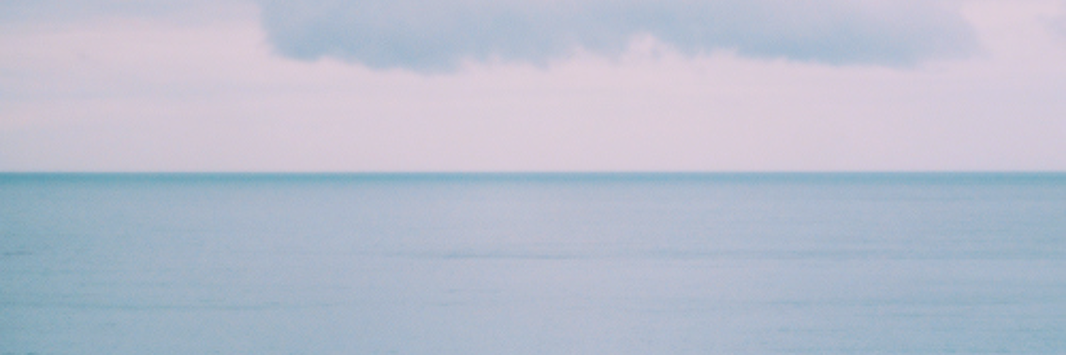 zendayagdr's profile banner image