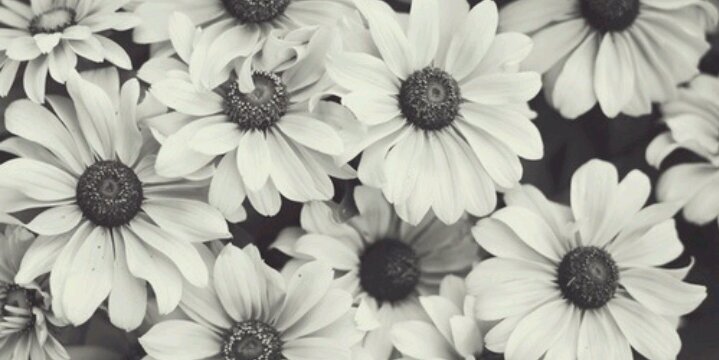 selenurtk's profile banner image