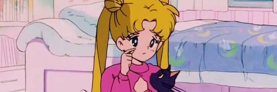 sailormoon__x's profile banner image