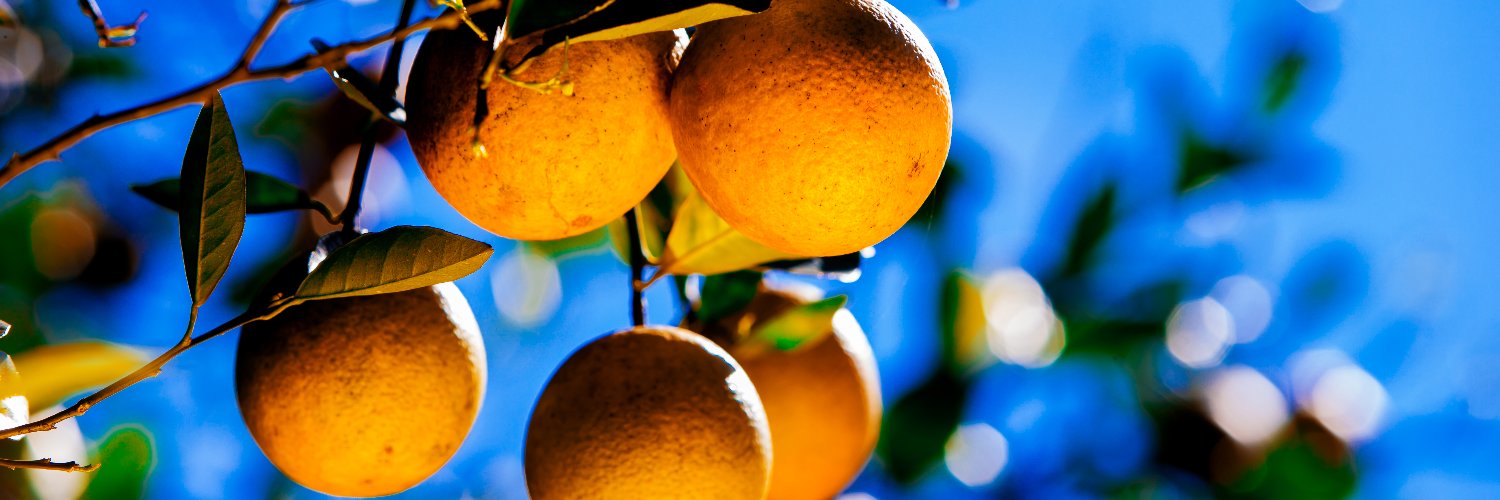SRossetter's profile banner image