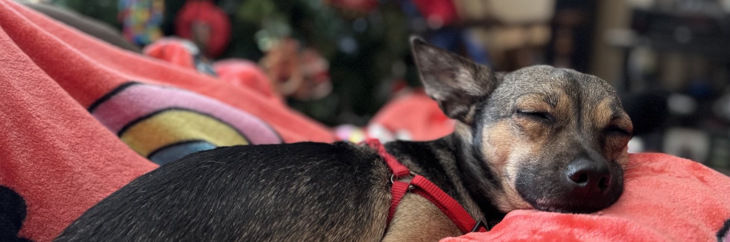 MaggiReese's profile banner image