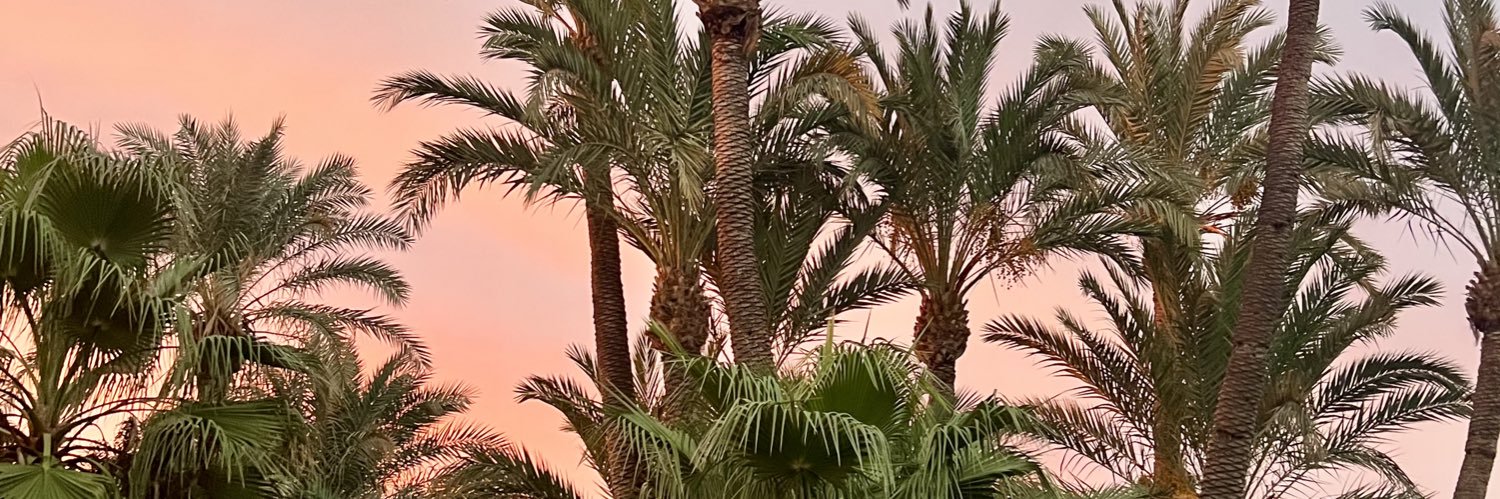 _meeraxo's profile banner image