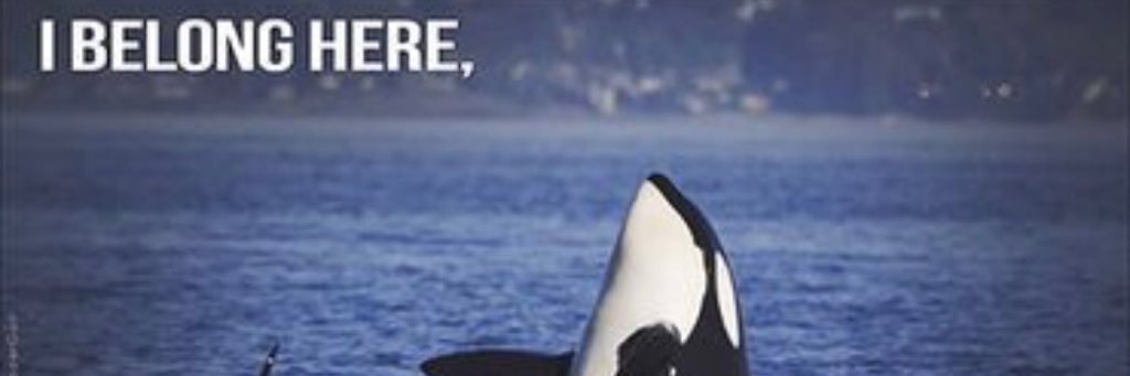 OpKillFun's profile banner image