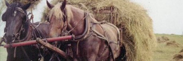 MJ_Netsolution Profile Banner