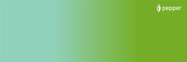 notion Profile Banner