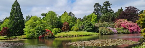 glitterypips Profile Banner