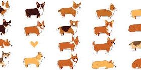 EllieTheCorgi's profile banner image