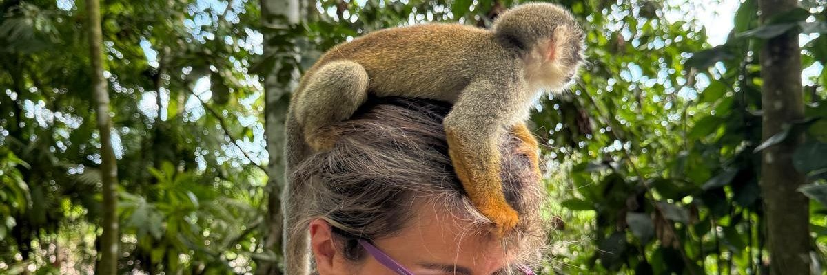 andlingom's profile banner image