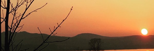 thelostbrothers Profile Banner