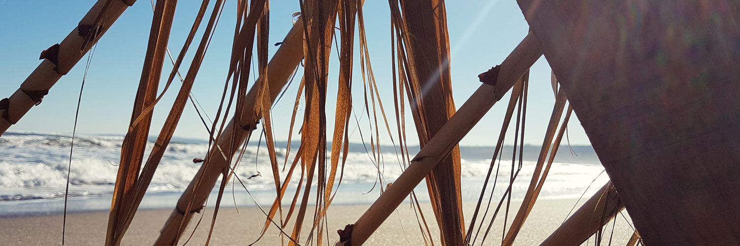 soniasunset's profile banner image