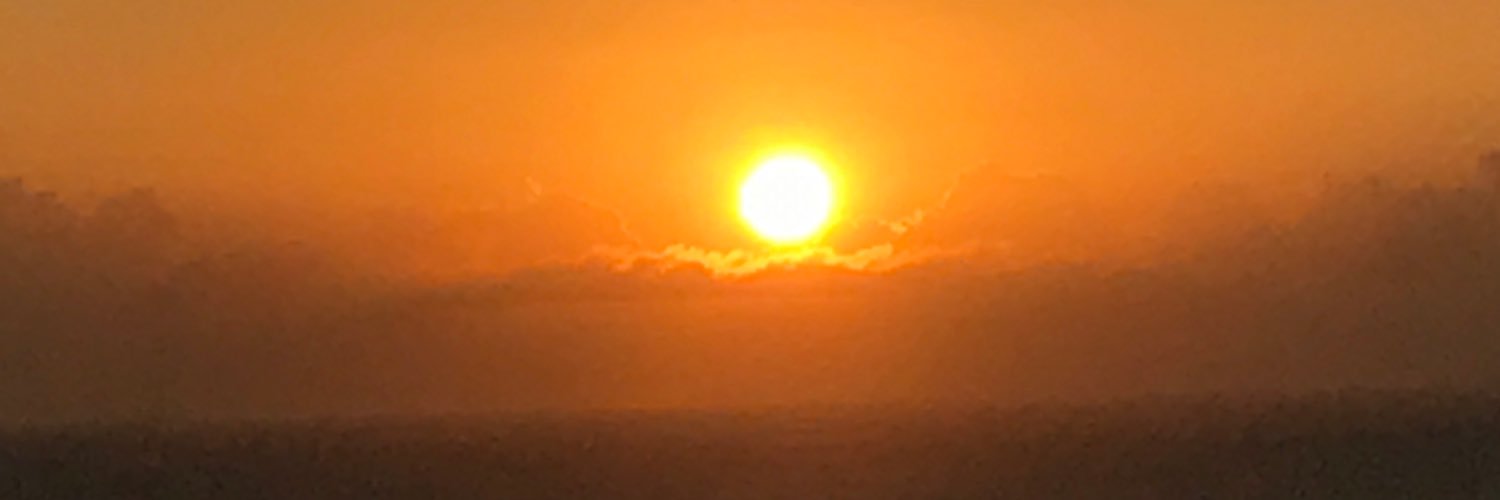 Muzzinn's profile banner image