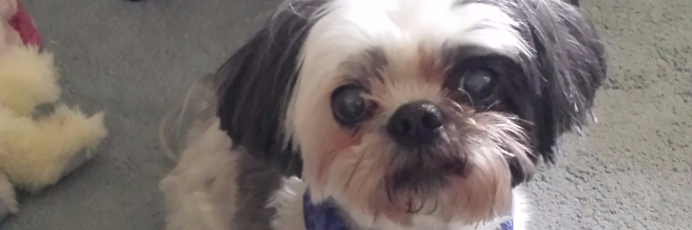 JudeDS12's profile banner image