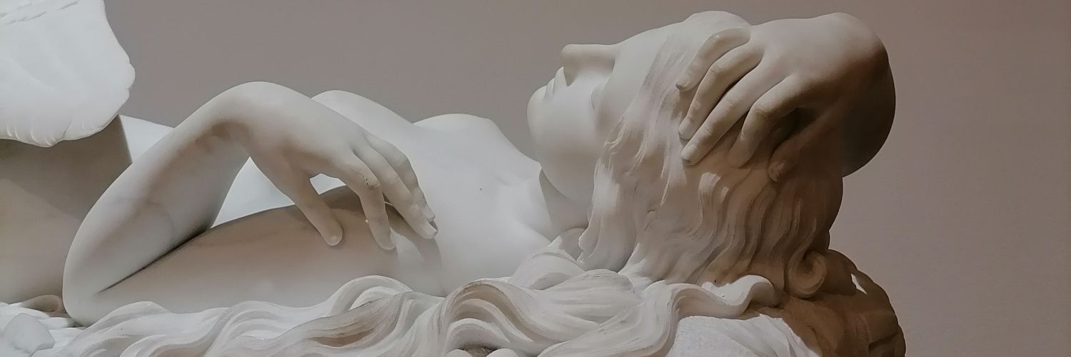 silviaefm's profile banner image