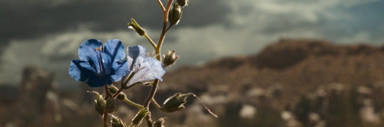 AngelaMariaAU_'s profile banner image