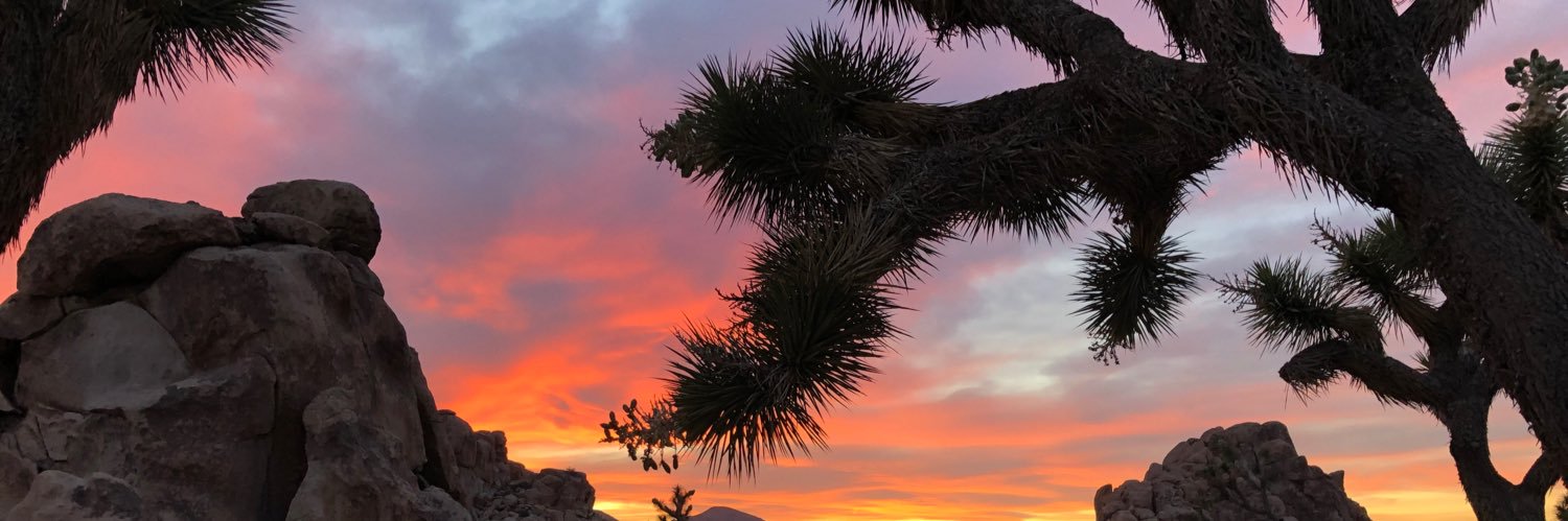 A. C. St-Antoine banner