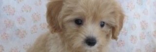 kk_aym's profile banner image
