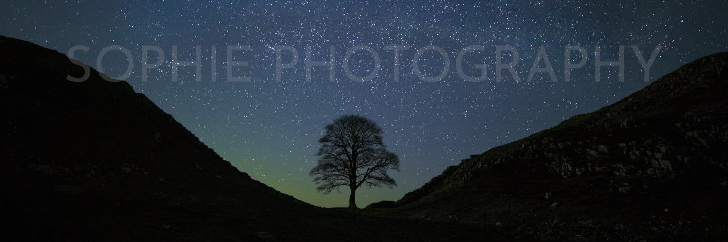 SophPhotographs's profile banner image