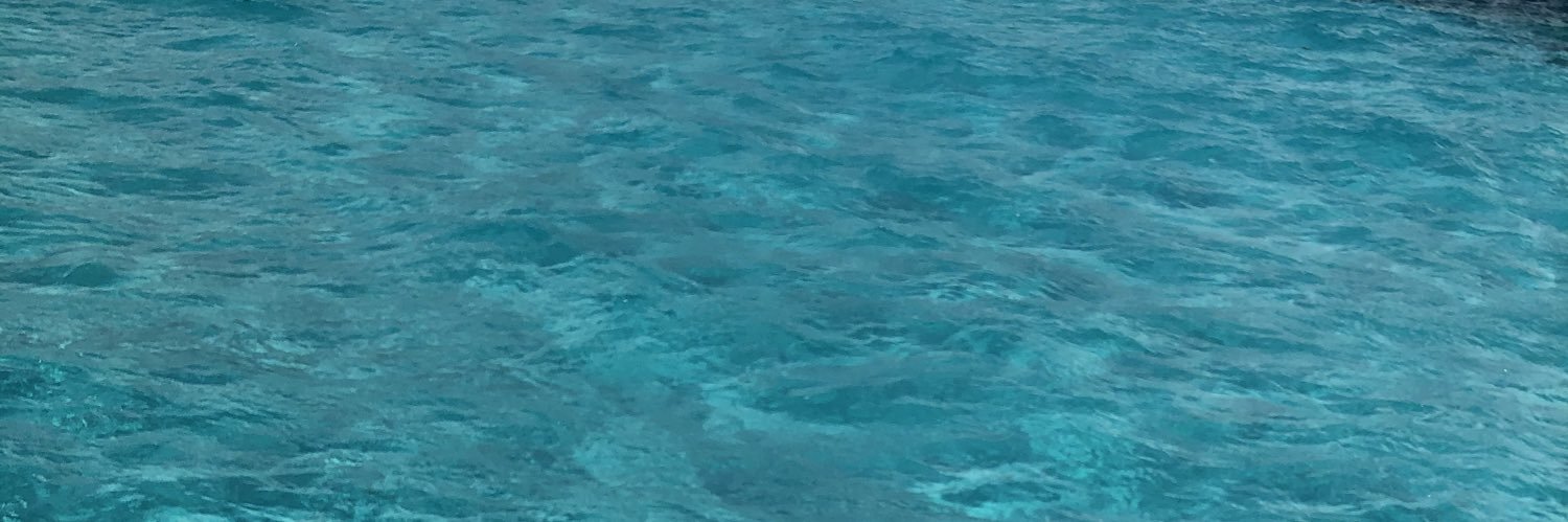MarisolMoraila's profile banner image