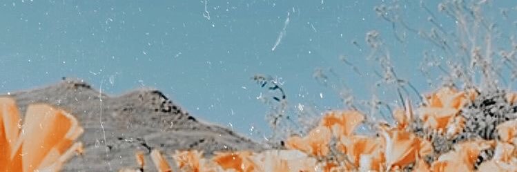 adumbbtch's profile banner image