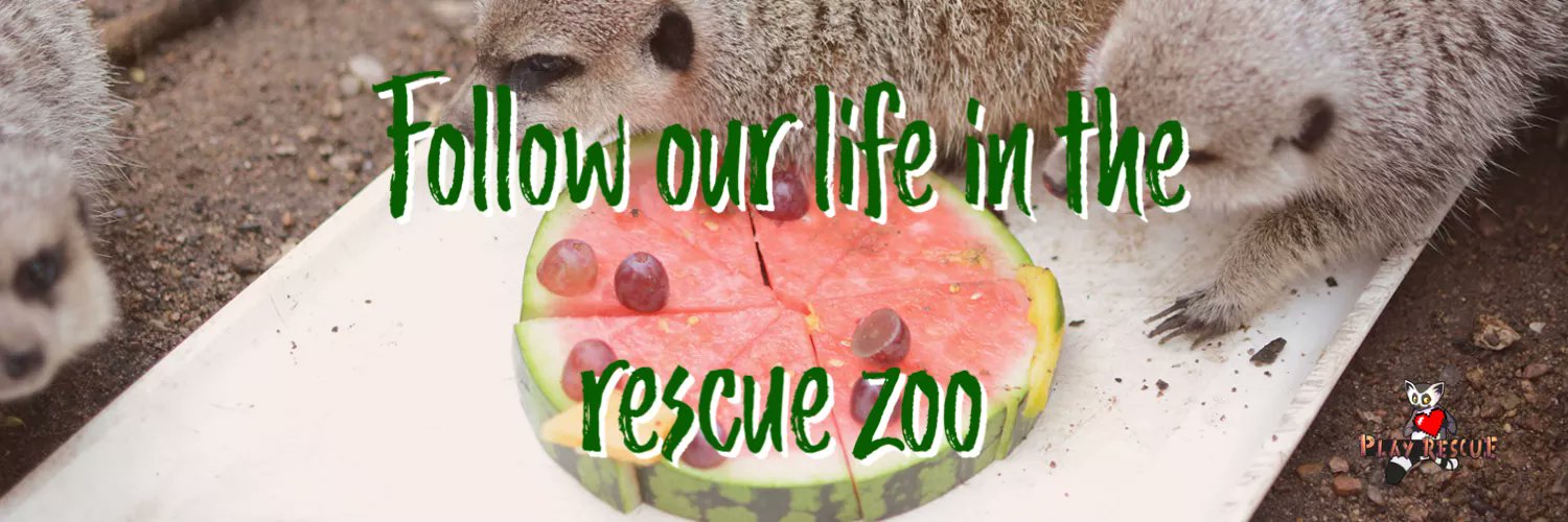 NikoRescueZoo - Charity banner