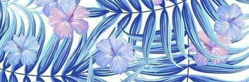SofiDitto's profile banner image