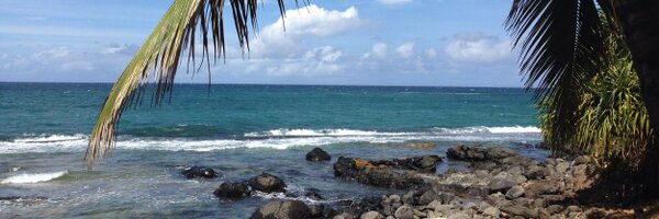 cindimarsiglio Profile Banner