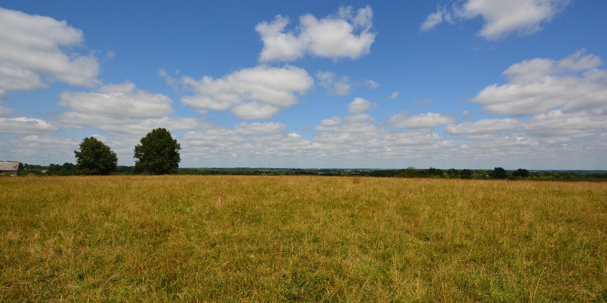 chamilton2362's profile banner image
