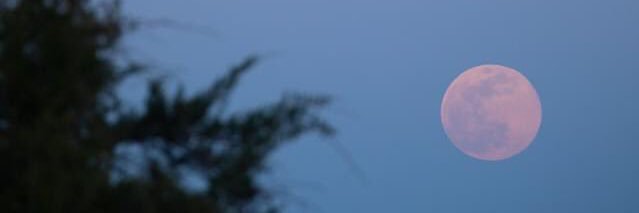 SumSummJR's profile banner image