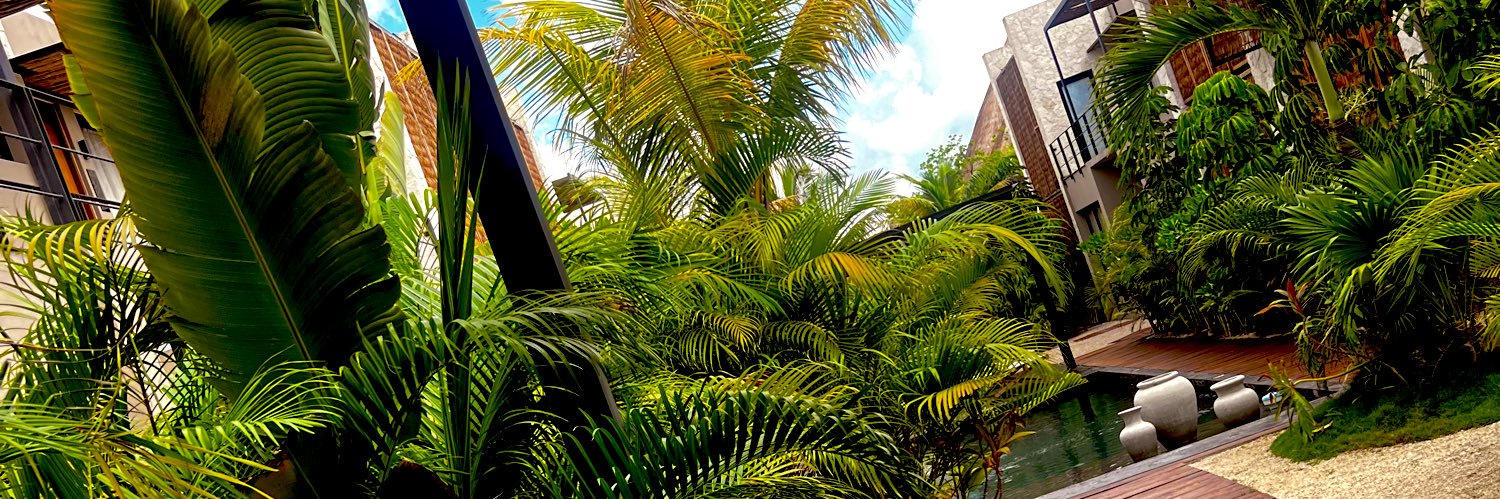jassminet_'s profile banner image