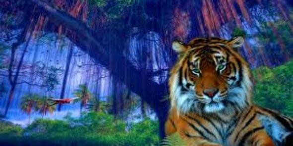 Rooble banner