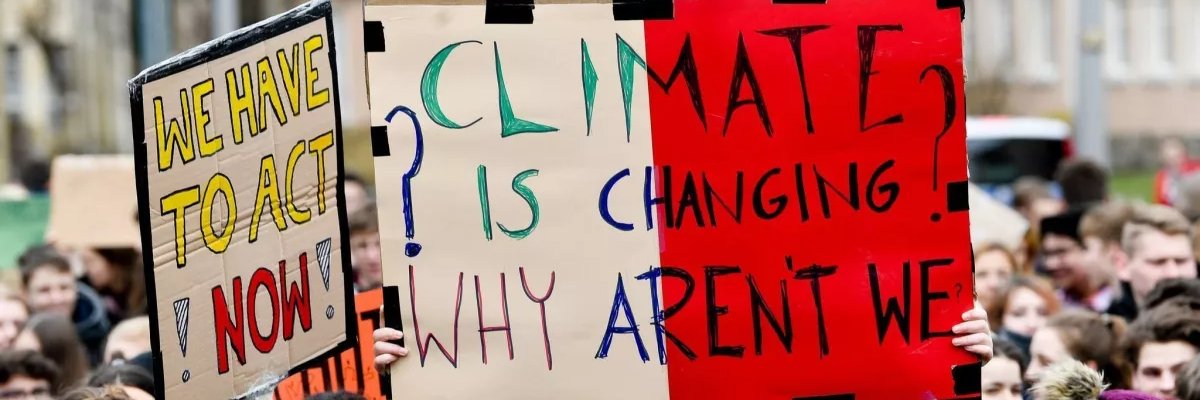 Josephine Ceccaldi banner