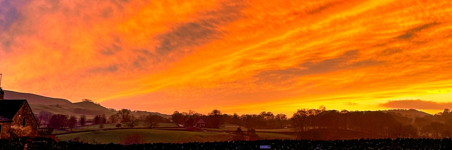 The Snork Maiden 💙💛 banner