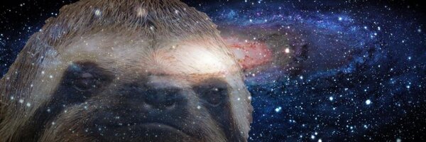 JoeHeidger Profile Banner