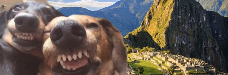 paulaa_bernal's profile banner image
