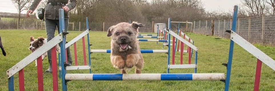 Cally Röwell banner