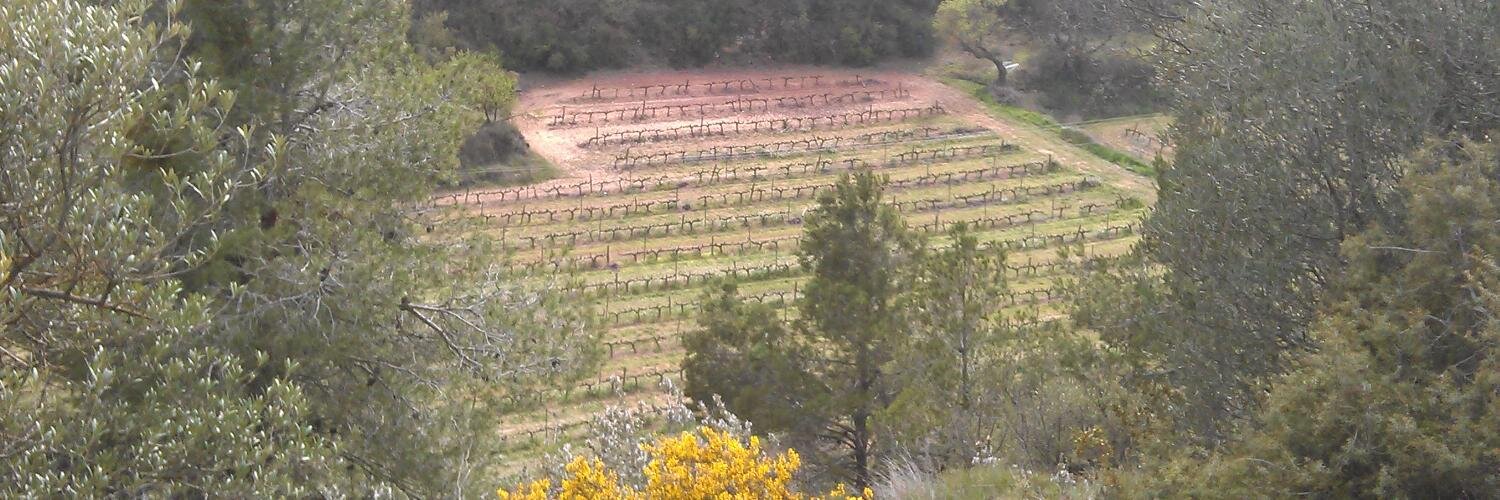 Celler Matallonga banner