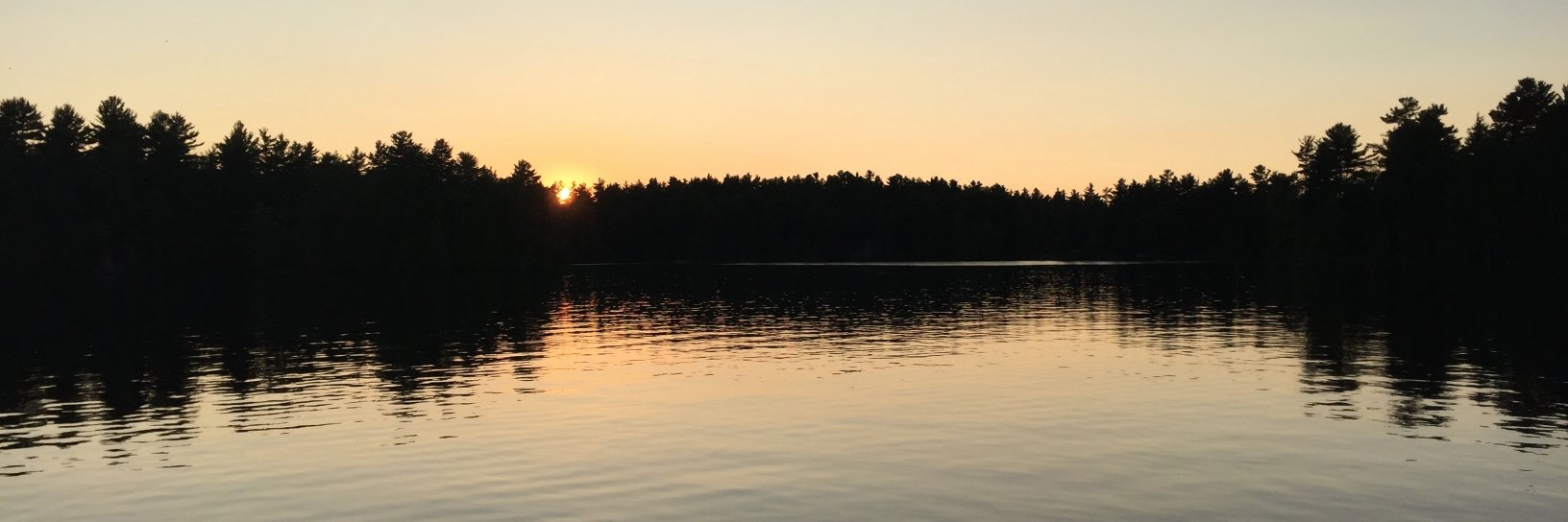 Meghan Davidson banner