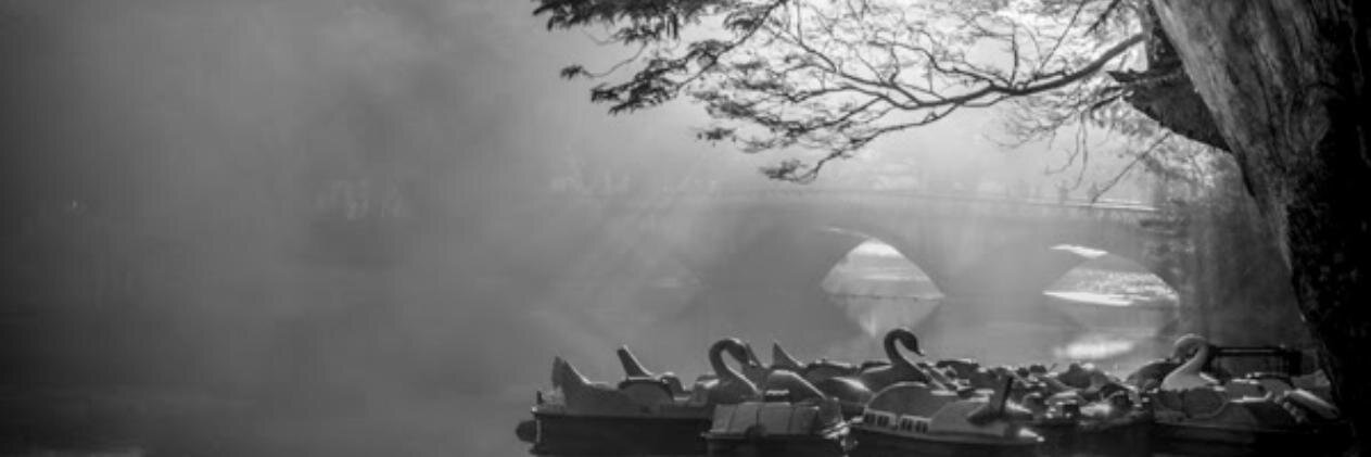 alhrt3's profile banner image