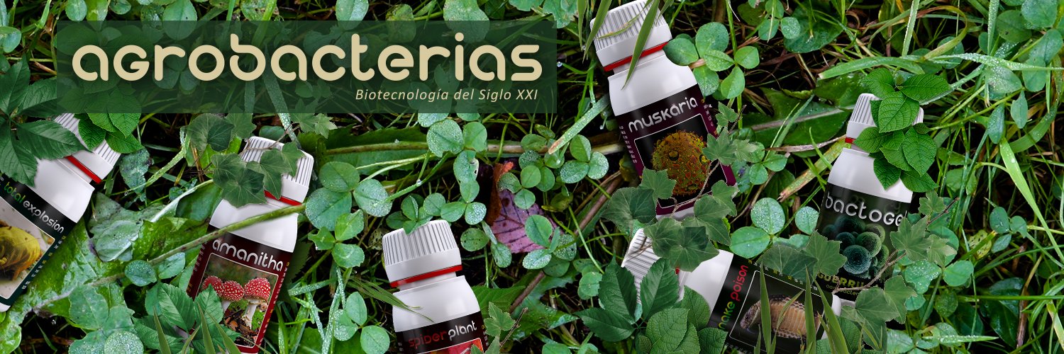 agrobacterias's profile banner image